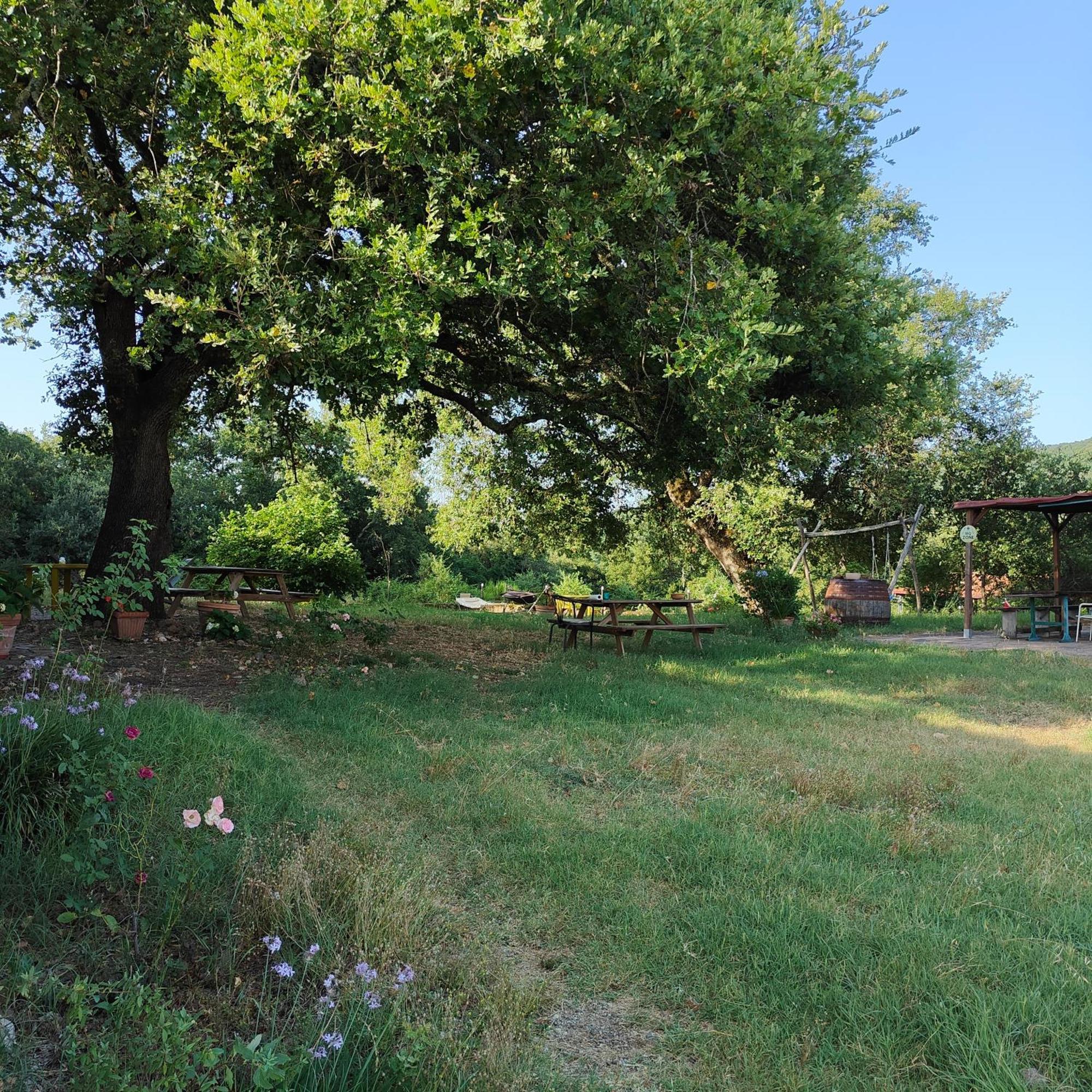 باري Agriturismo Il Casalino المظهر الخارجي الصورة