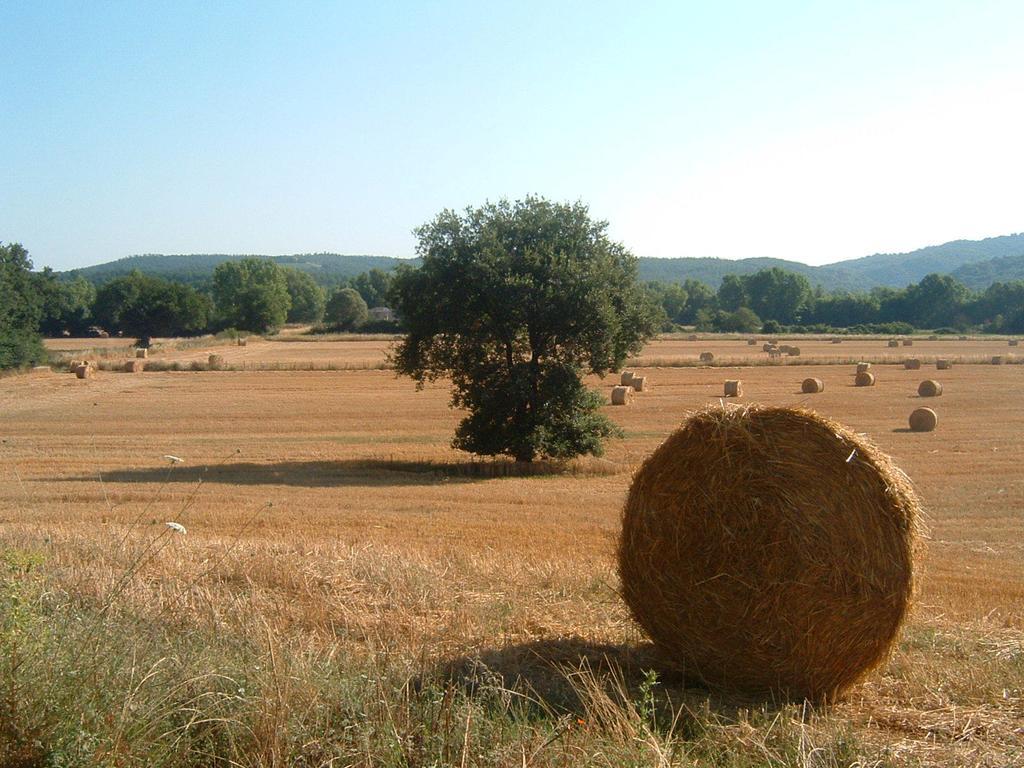 باري Agriturismo Il Casalino المظهر الخارجي الصورة