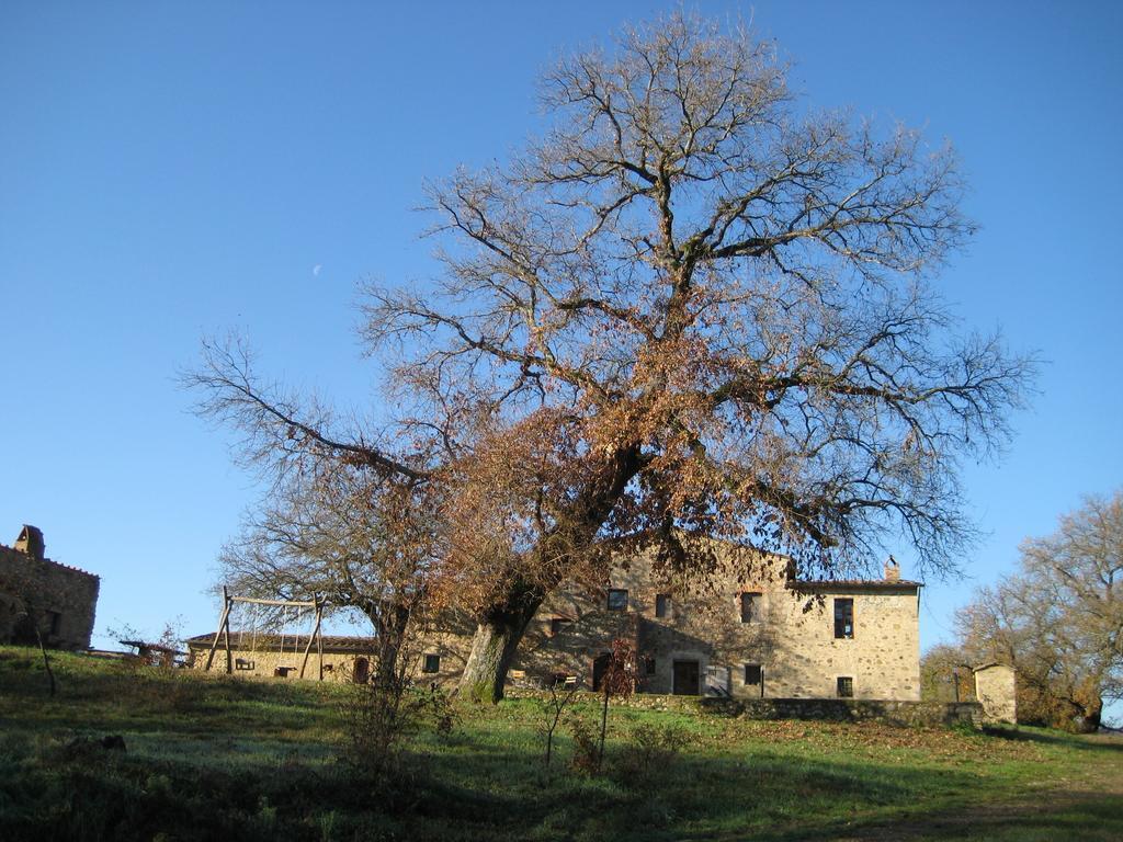 باري Agriturismo Il Casalino المظهر الخارجي الصورة