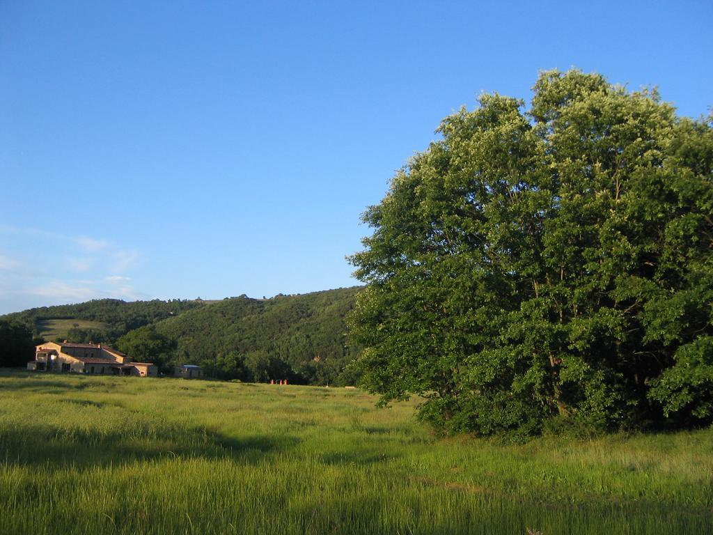 باري Agriturismo Il Casalino المظهر الخارجي الصورة