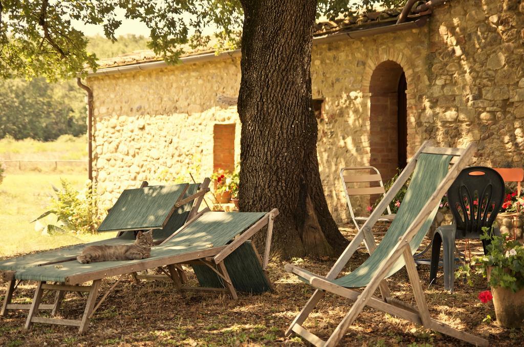 باري Agriturismo Il Casalino المظهر الخارجي الصورة